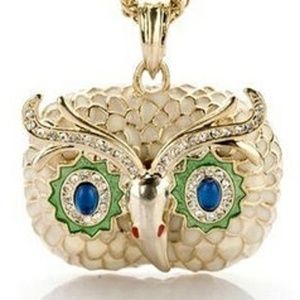 Crystal owl pendant long necklace